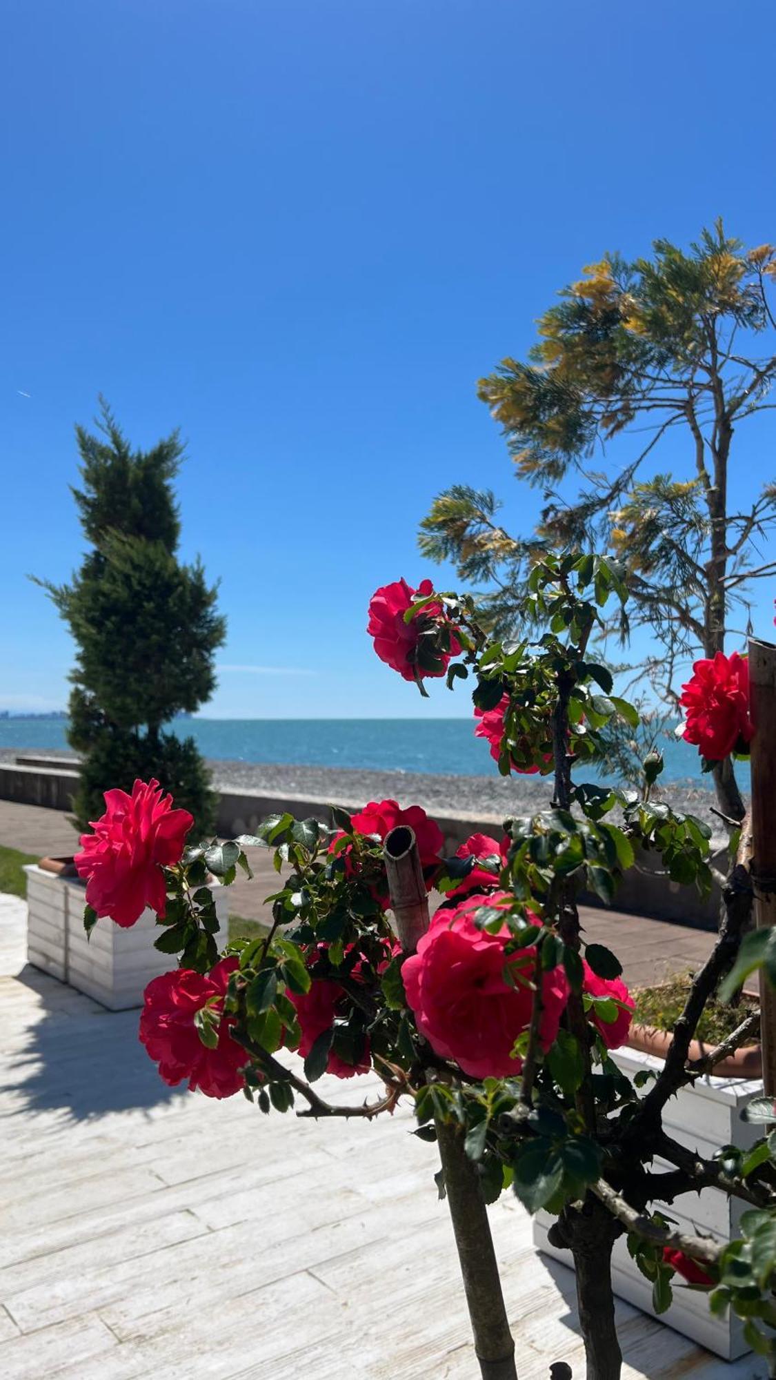 Luxury Oasis Apartment Chakvi Kültér fotó